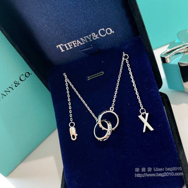 Tiffany純銀飾品 蒂芙尼女士專櫃爆款羅馬數字雙環項鏈 Tiffany純銀鎖骨鏈  zgt1768